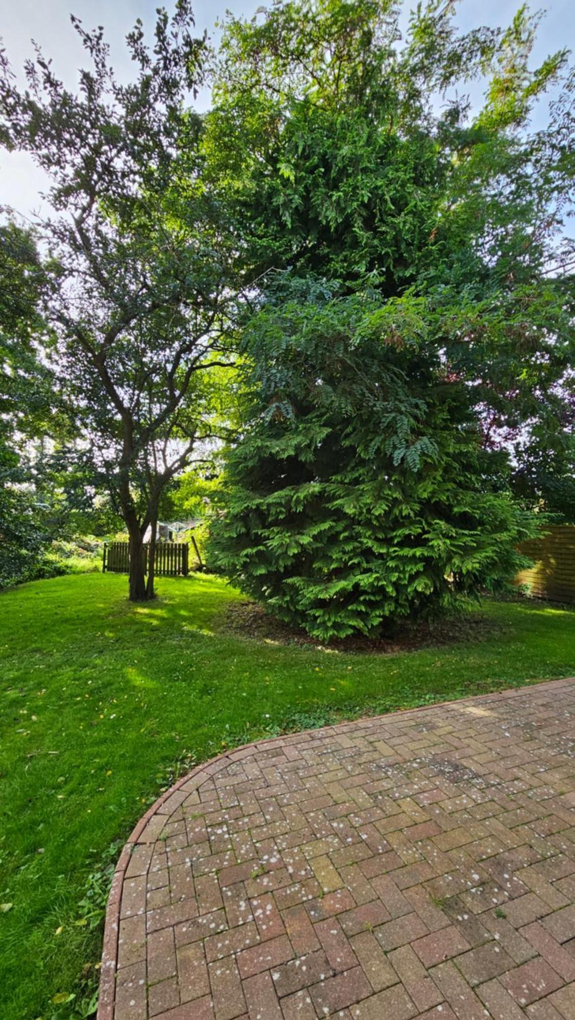 Usedom Suites צינוביץ מראה חיצוני תמונה